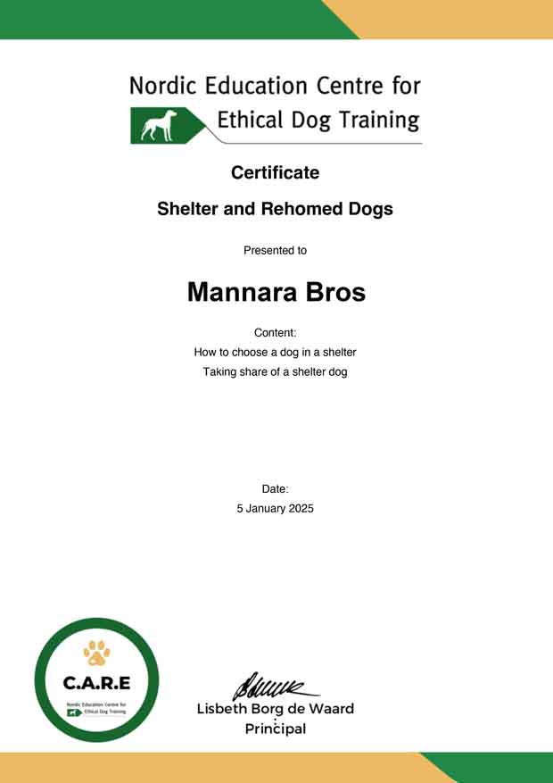Alessandro-Shelter-and-Rehomed-Dogs-Shelter-and-Rehomed-Dogs-Nordic-Dog-Trainer-Membership